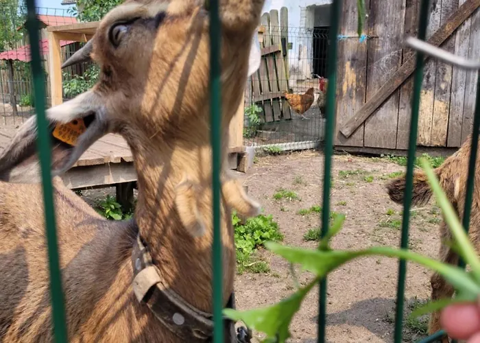 Gospodarstwo Agroturystyczne Kamez